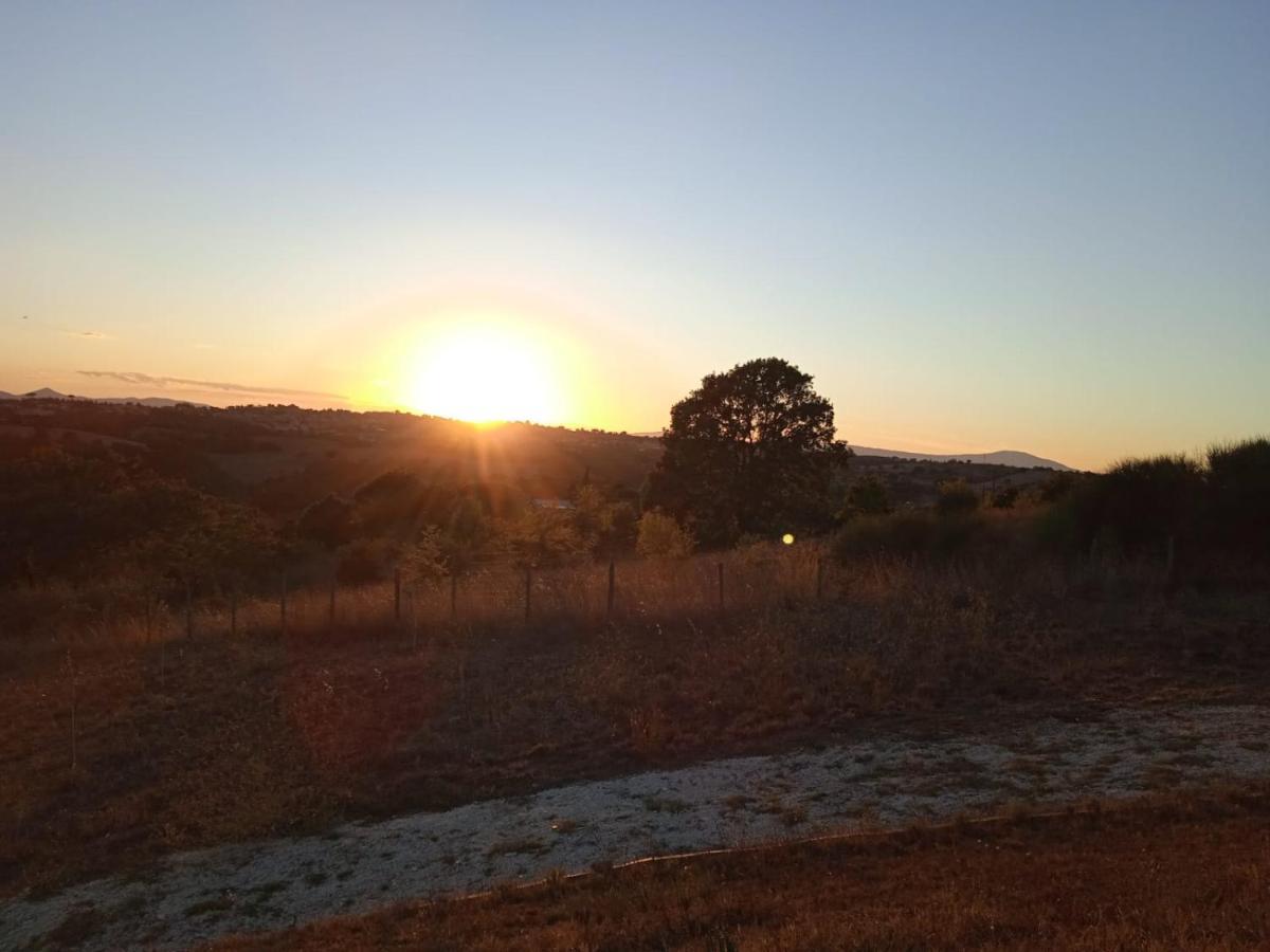 Agriturismo Il Cielo In Terra Sant'Oreste Exteriér fotografie