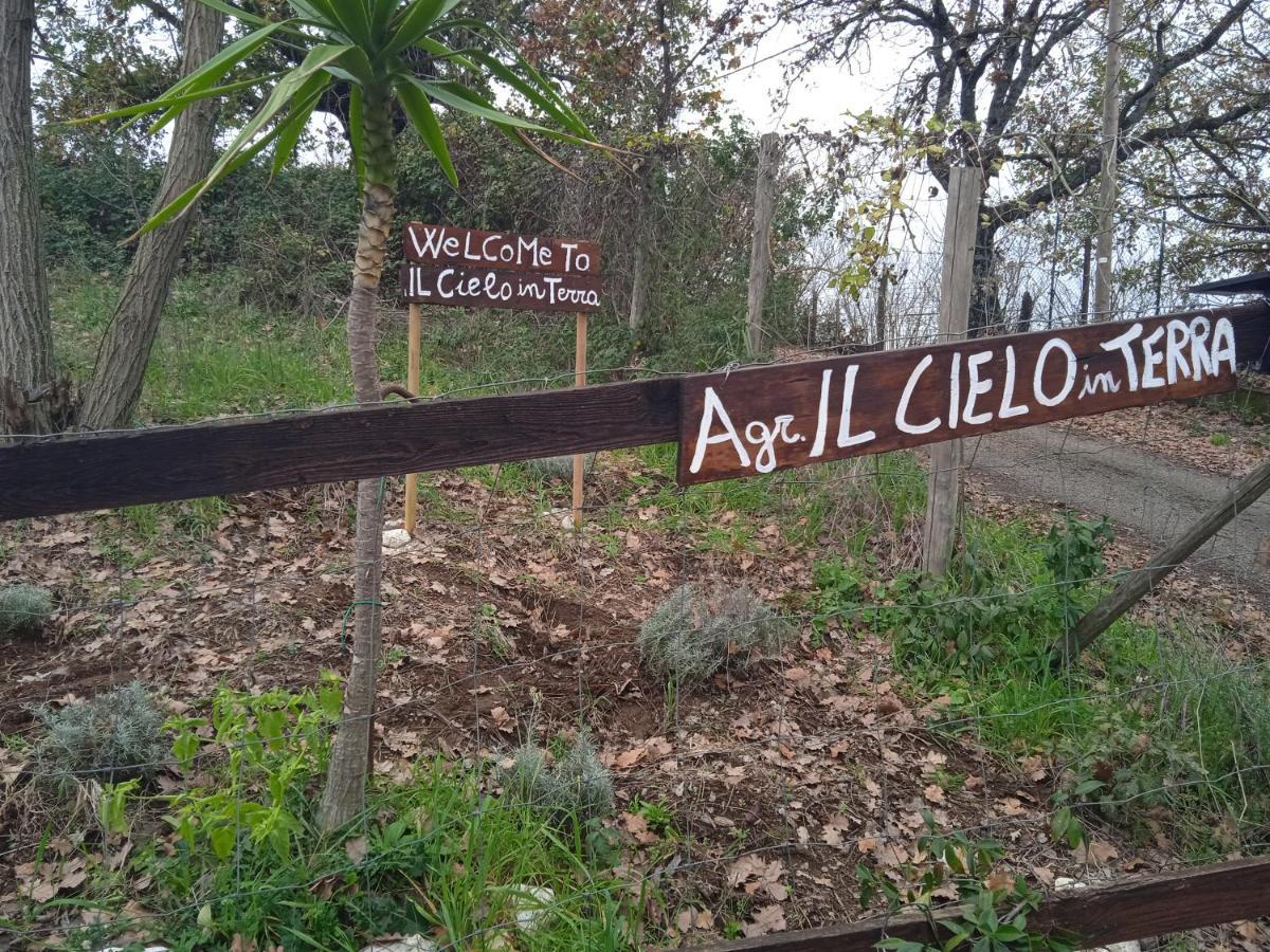 Agriturismo Il Cielo In Terra Sant'Oreste Exteriér fotografie