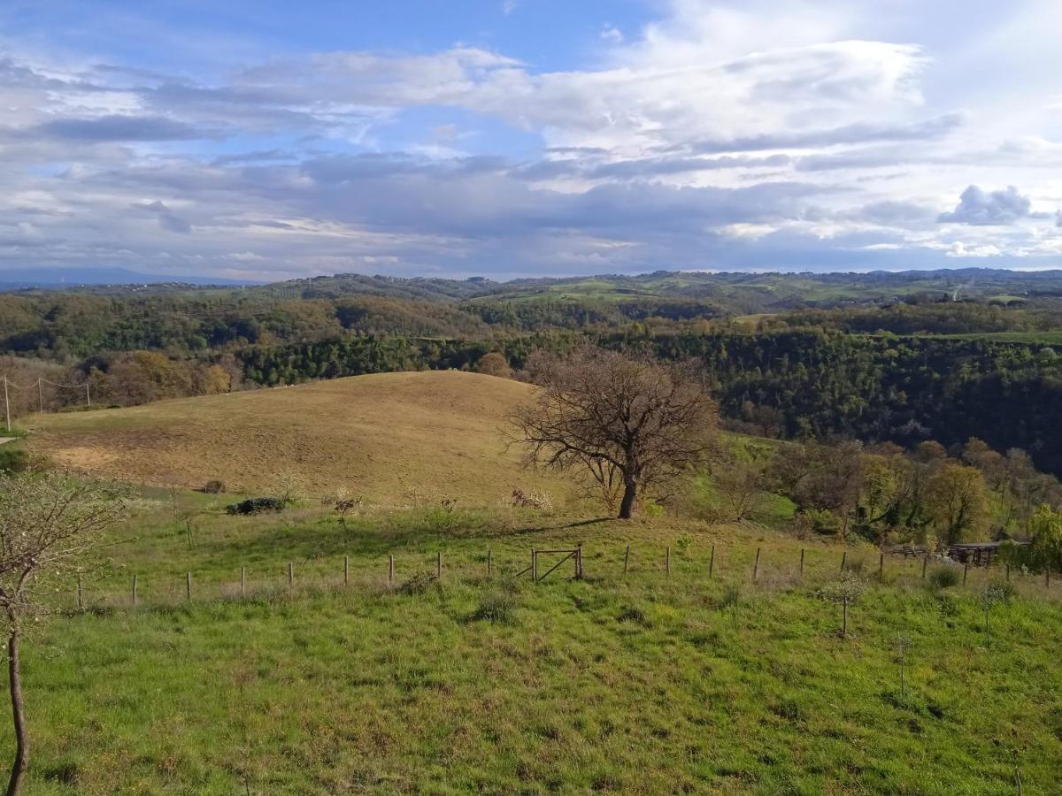 Agriturismo Il Cielo In Terra Sant'Oreste Exteriér fotografie